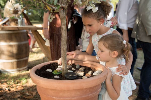 Voeux et galets au pied de l arbre pour le mariage nature de Caroline et Julien